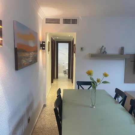 Gran Y Magnífico En Apartamento